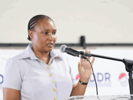 Human Settlements Minister Thembi Simelane
