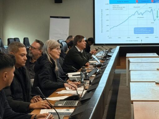 Strategic Water Resilience Committee Workshop in Cape Town