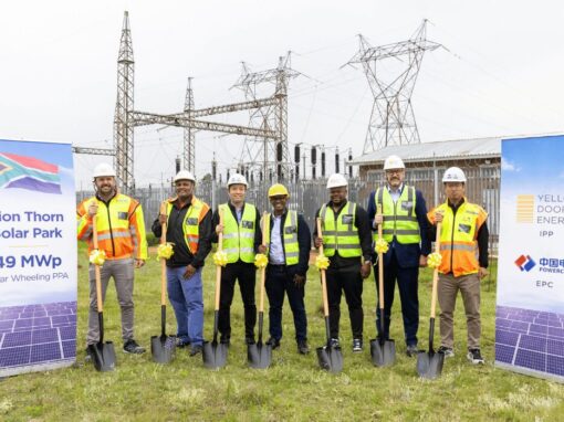 Yellow Door Energy executive photo at Lion Thorn Solar Park